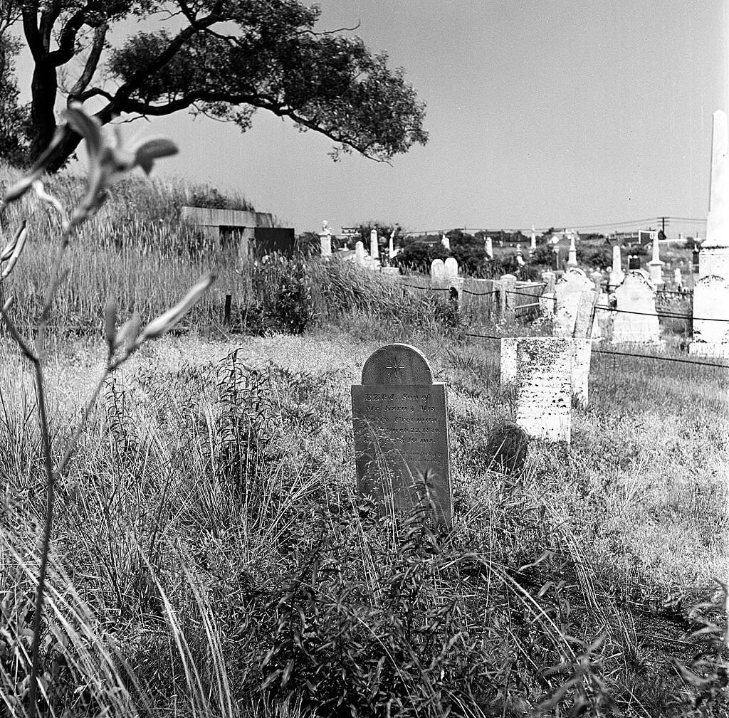#87 View of the cemetery, Provincetown, Massachusetts, 1948.