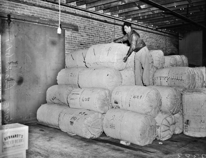 #248 Isadore Garibay with 500-pound sacks of chili pods, 1940