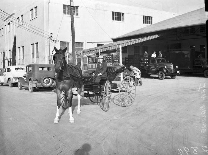 #130 Ira Malone in horse-drawn buggy, 1942