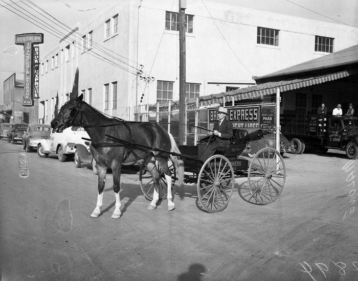 #133 Ira Malone in horse-drawn buggy, 1942
