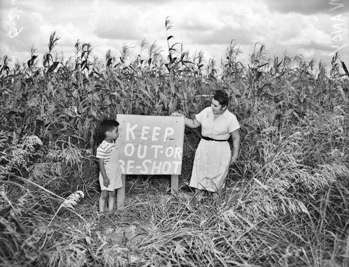 #224 Nancy Mireles and son Joel, with sign in corn field, 1948