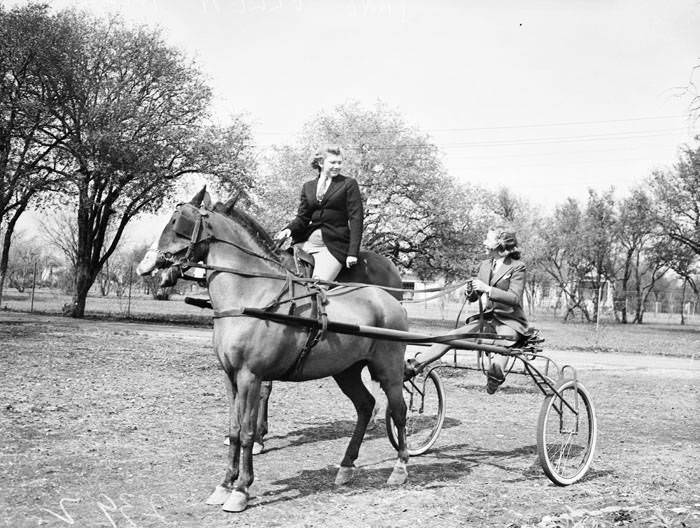 #236 Hillje sisters with their horses, 1940
