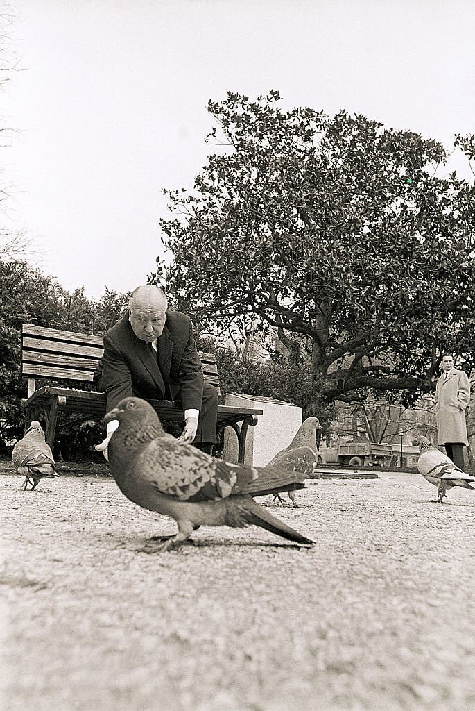 Alfred Hitchcock Feeding Pigeons While in Washington, DC to promote his film ‘The Birds’, 1963