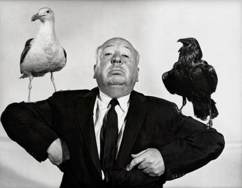 #18 Stunning Stills and Portraits of Alfred Hitchcock Posing with Birds from the Movie ‘The Birds (1963)’ #18