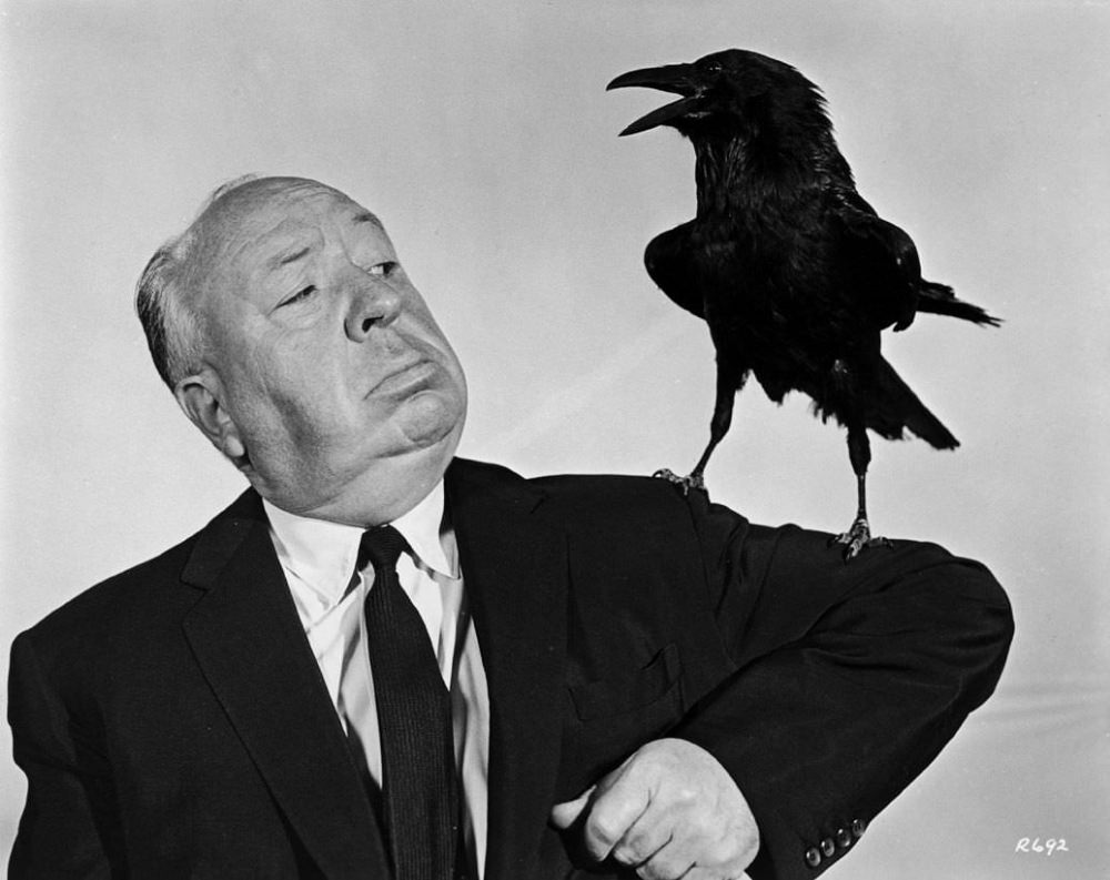 Stunning Stills and Portraits of Alfred Hitchcock Posing with Birds from the Movie &;The Birds (1963)&;
