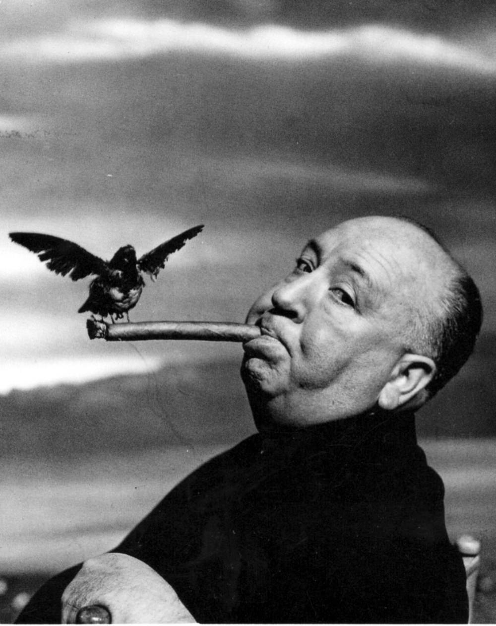 Stunning Stills and Portraits of Alfred Hitchcock Posing with Birds from the Movie &;The Birds (1963)&;