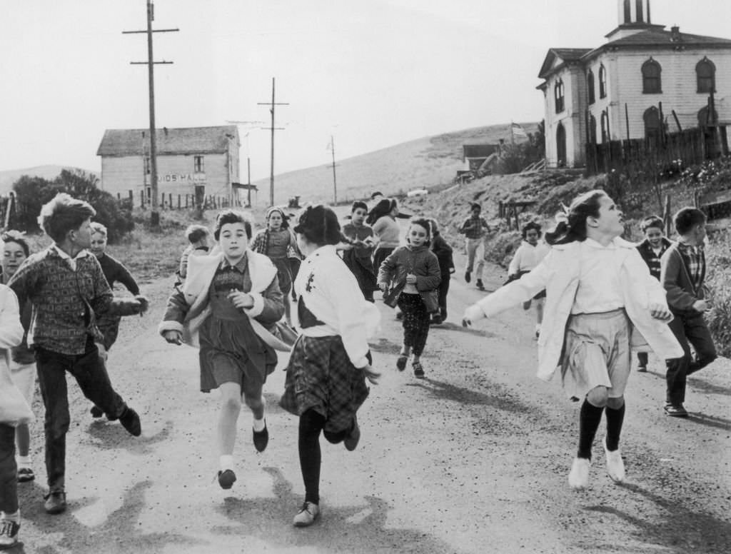 A group of schoolchildren flee the avian threat in a scene from ‘The Birds’, 1963