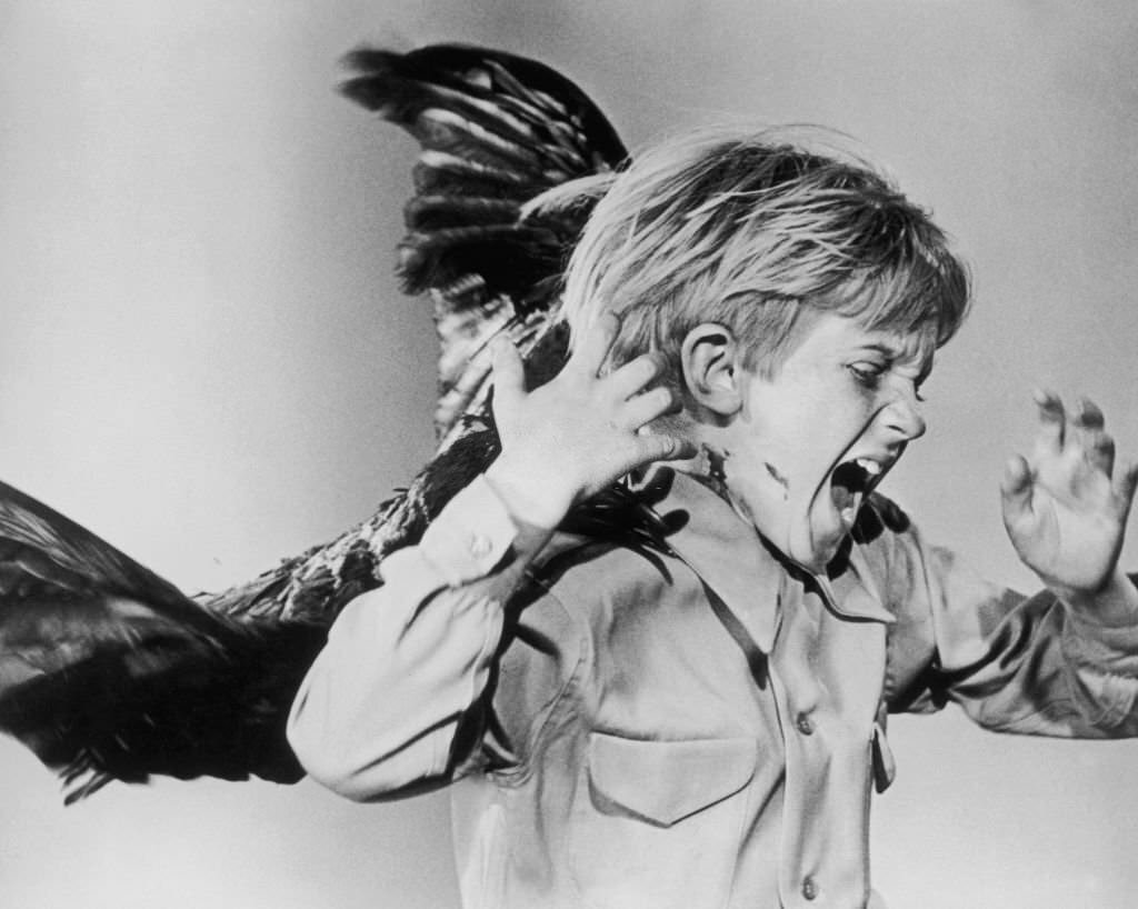 A little boy shrieks as a bird sinks its talons into his neck in a publicity still for ‘The Birds’, 1963