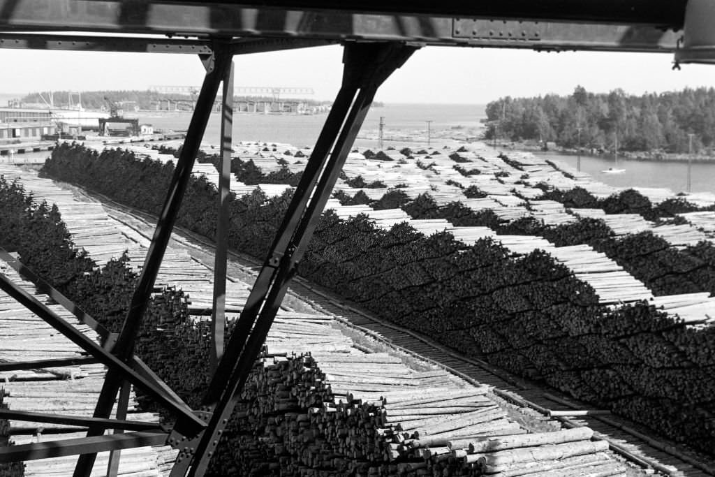 #3 Woodchip on the beach at Norrsundet, Uppsala, Sweden, 1969.