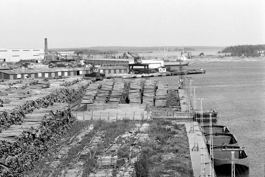 #5 Woodchip on the beach at Norrsundet, Uppsala, Sweden, 1969.