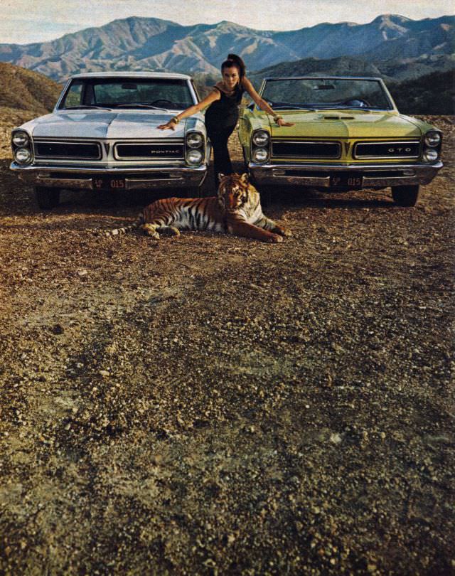 Quick Wide-Track Tigers Pontiac Lemans &; GTO.