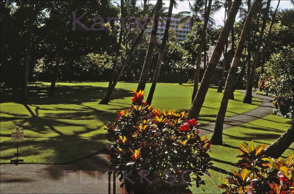 #36 The Princess Kaiulani Hotel can be glimpsed across Kalakaua Avenue in the heart of Waikiki, 1964