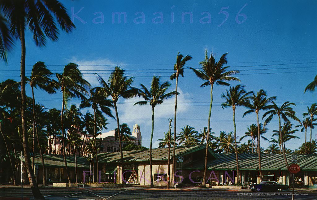 #105 Late afternoon light at the McInerny department store building makai side Kalakaua Avenue at Seaside Avenue, 1958