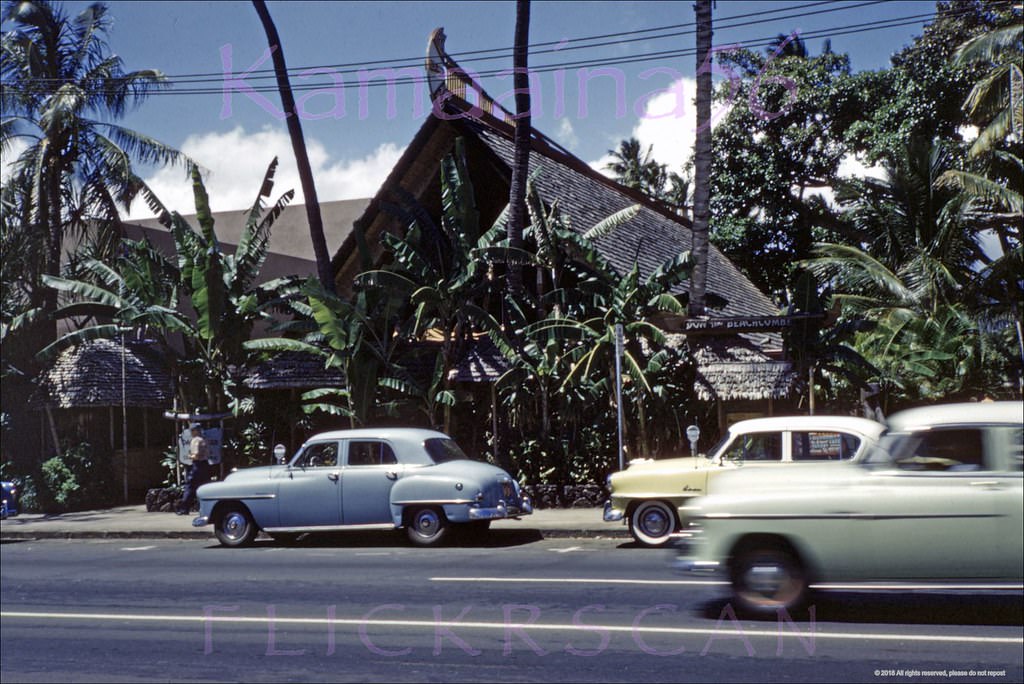#82 International Market Place from across Waikiki’s Kalakaua Avenue, 1960