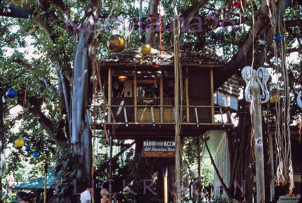 #93 KCCN Treehouse Waikiki, 1968.