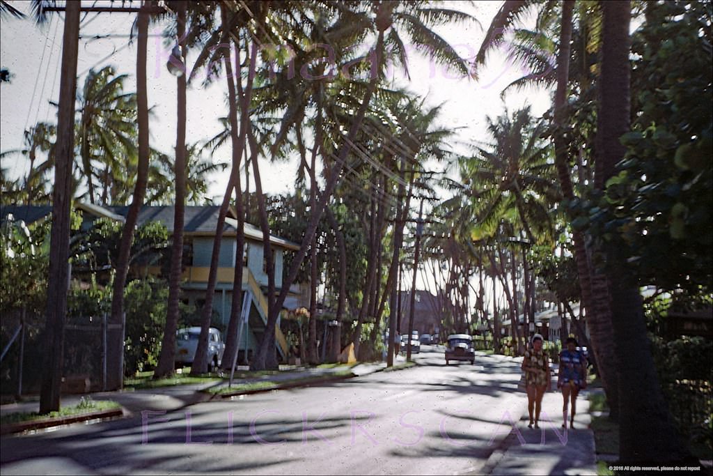 #176 Slightly blurry but still interesting view looking towards the ocean along Waikiki’s Lewers Street, 1952