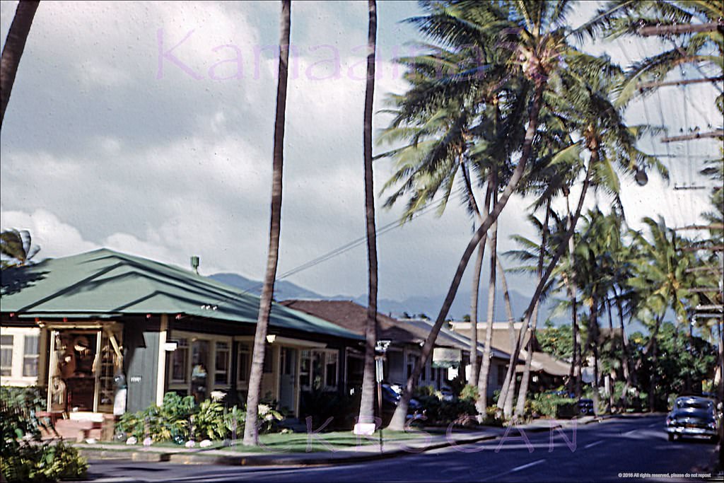 #177 Slightly blurry view inland along Lewers Road’s modest bungalows, back when Waikiki was still a low-rise paradise, 1952