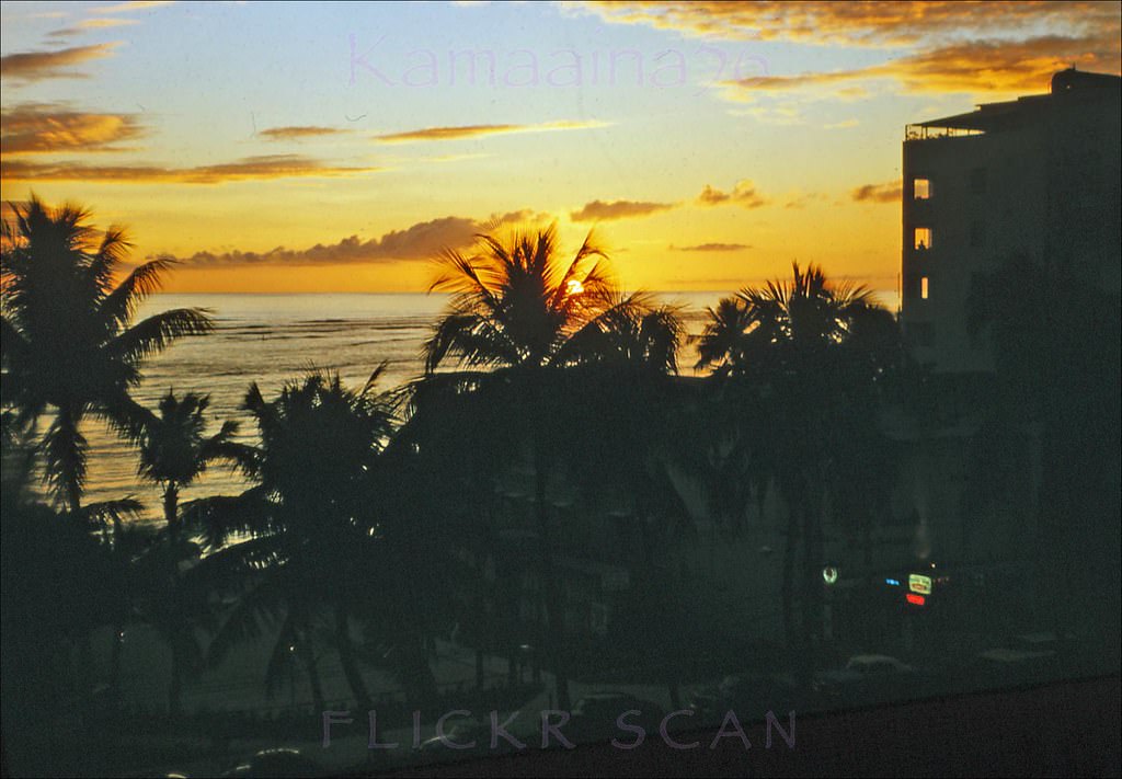 #131 The sun setting below the horizon viewed from the Waikiki Biltmore Hotel through the palms along Kalakaua Avenue, 1961