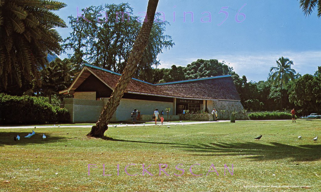 #186 Honolulu Zoo between Kapahulu and Monsarrat Avenues on the eastside of Waikiki, 1960