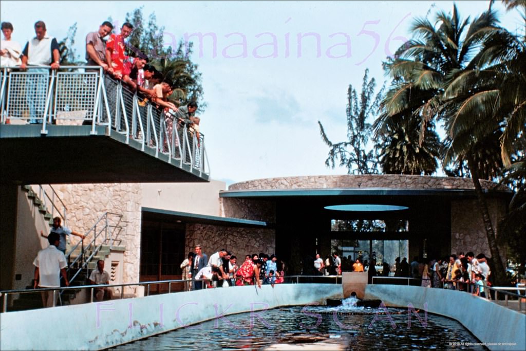 #242 The Waikiki Aquarium, on the shoreline of Kapiolani Park next to Diamond Head, 1955