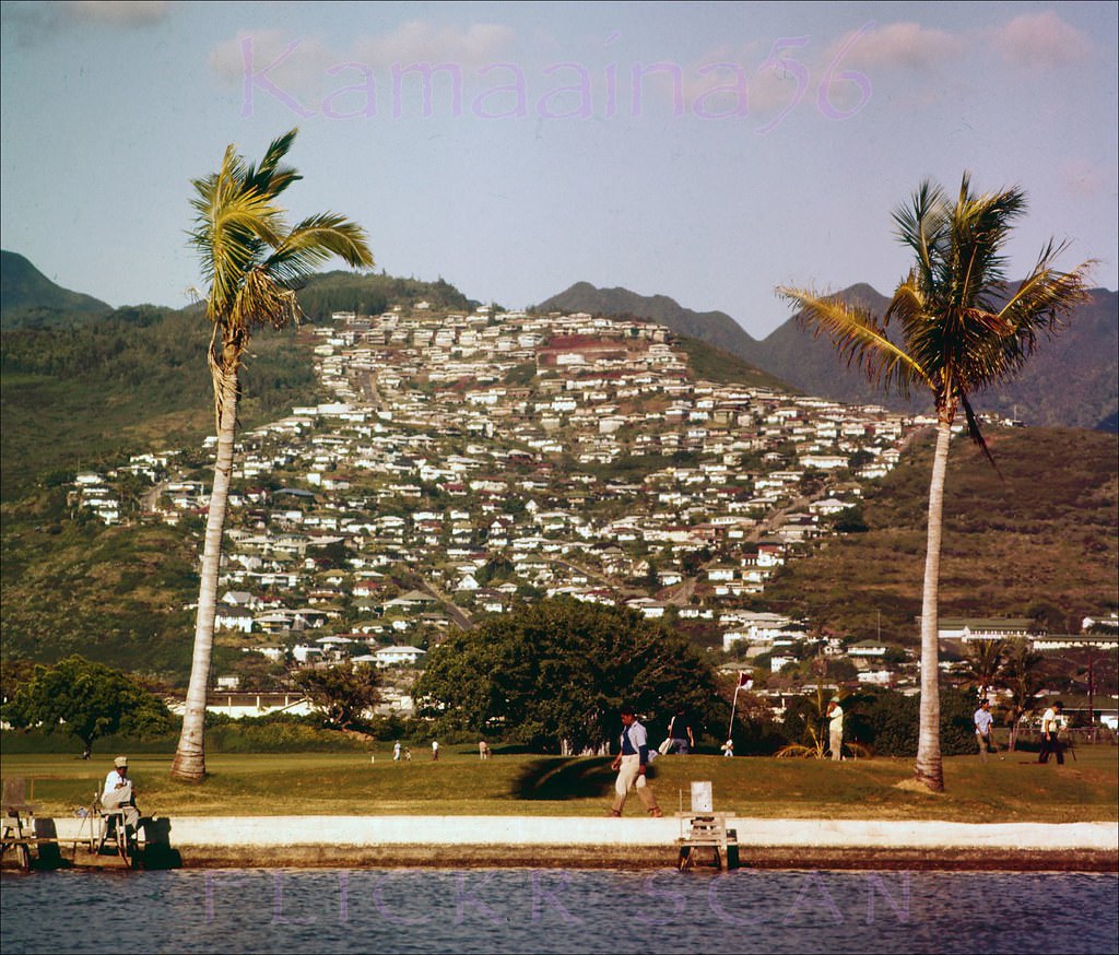 #247 St. Louis Heights nicely framed by palm trees at Ala Wai Golf Course, 1957.