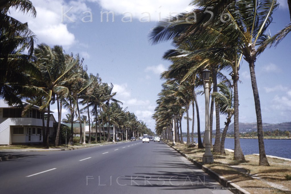 #11 Ala Wai Blvd is one of Waikiki’s two east-west thoroughfares, the other being Kalakaua Avenue, 1952