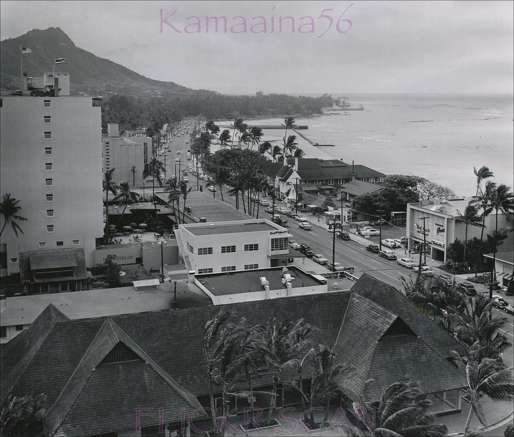 #15 Kalakaua Birdseye. Waikiki, 1956.