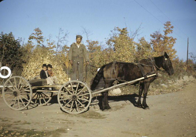 #25 Family and wagon, Bethany Indian Mission, Wittenberg, Wisconsin, 1953