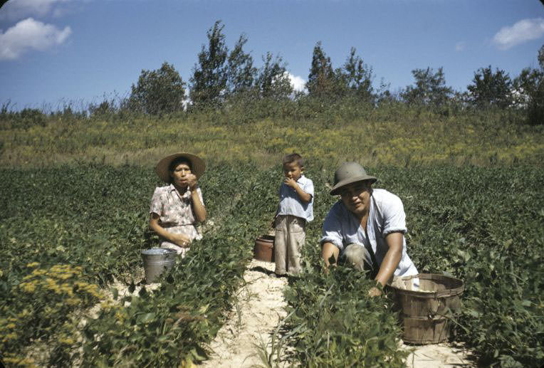#31 In the field, Bethany Indian Mission, Wittenberg, Wisconsin, 1953