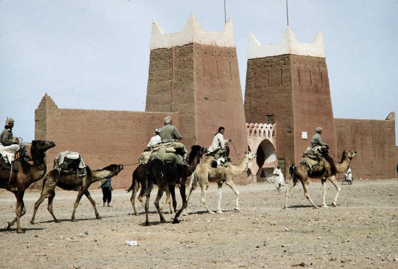 #88 Camel caravan traveling through town, 1960s