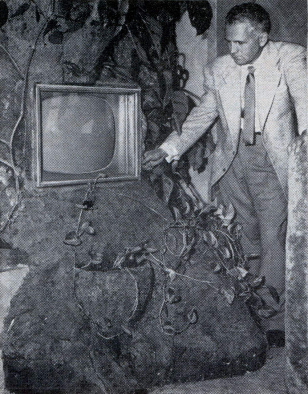 #2 Television set is built into huge tree trunk fitted into wall of living room. Dials are mounted at side.
