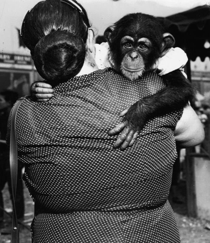 #1 Woman holding a himp during the filming of ‘Tarzan’s Peril’