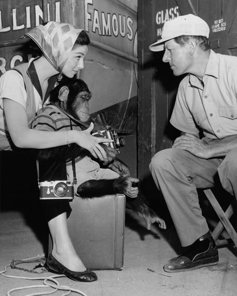 #13 Pier Angeli and Danny Kaye with chimp.