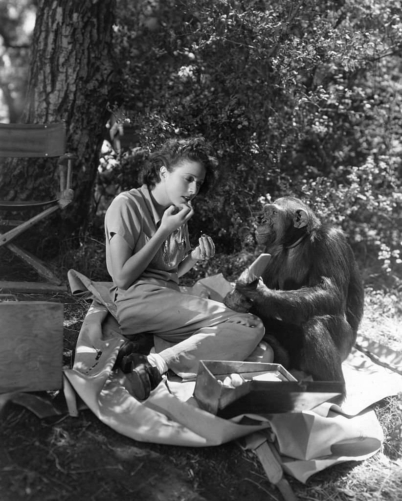 #27 Molly Lamont with Chimp, 1936.
