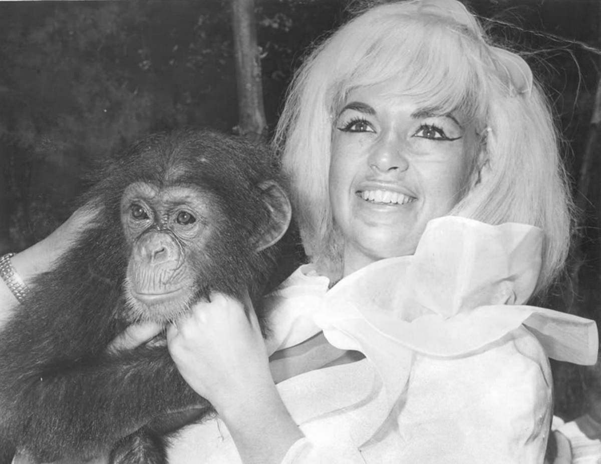 #43 Jayne Mansfield
