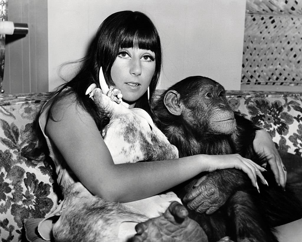 #7 Cher with Toto, a baby chimpanzee.