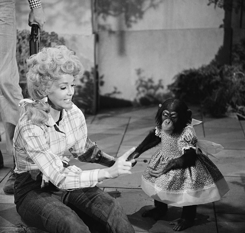#9 Elly May Dances with a chimp