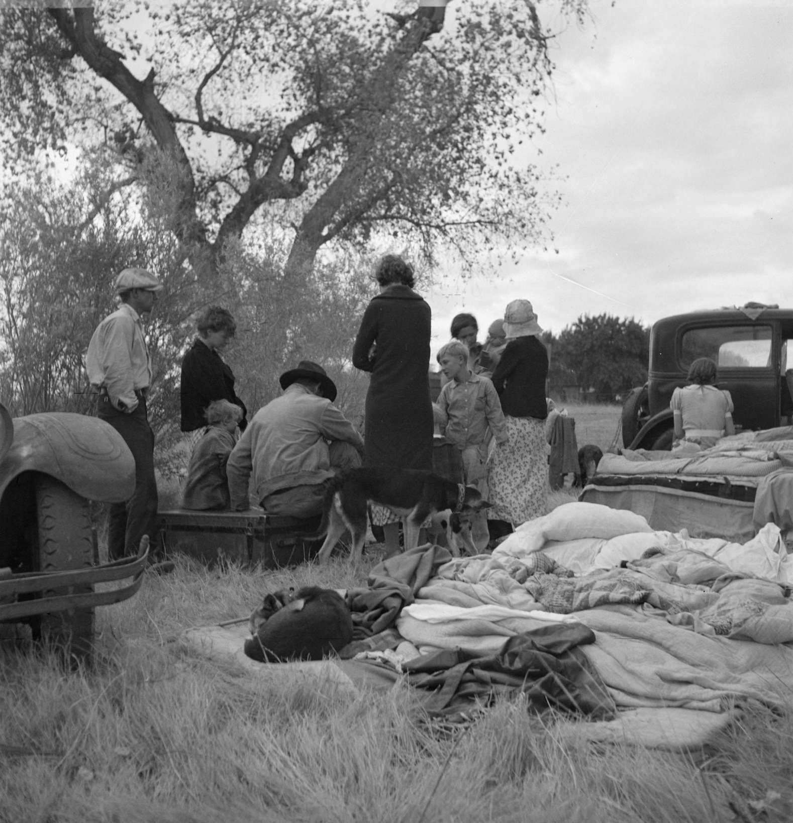 #1 Squatters along highway near Bakersfield, California. Penniless refugees from dust bowl, 1932s