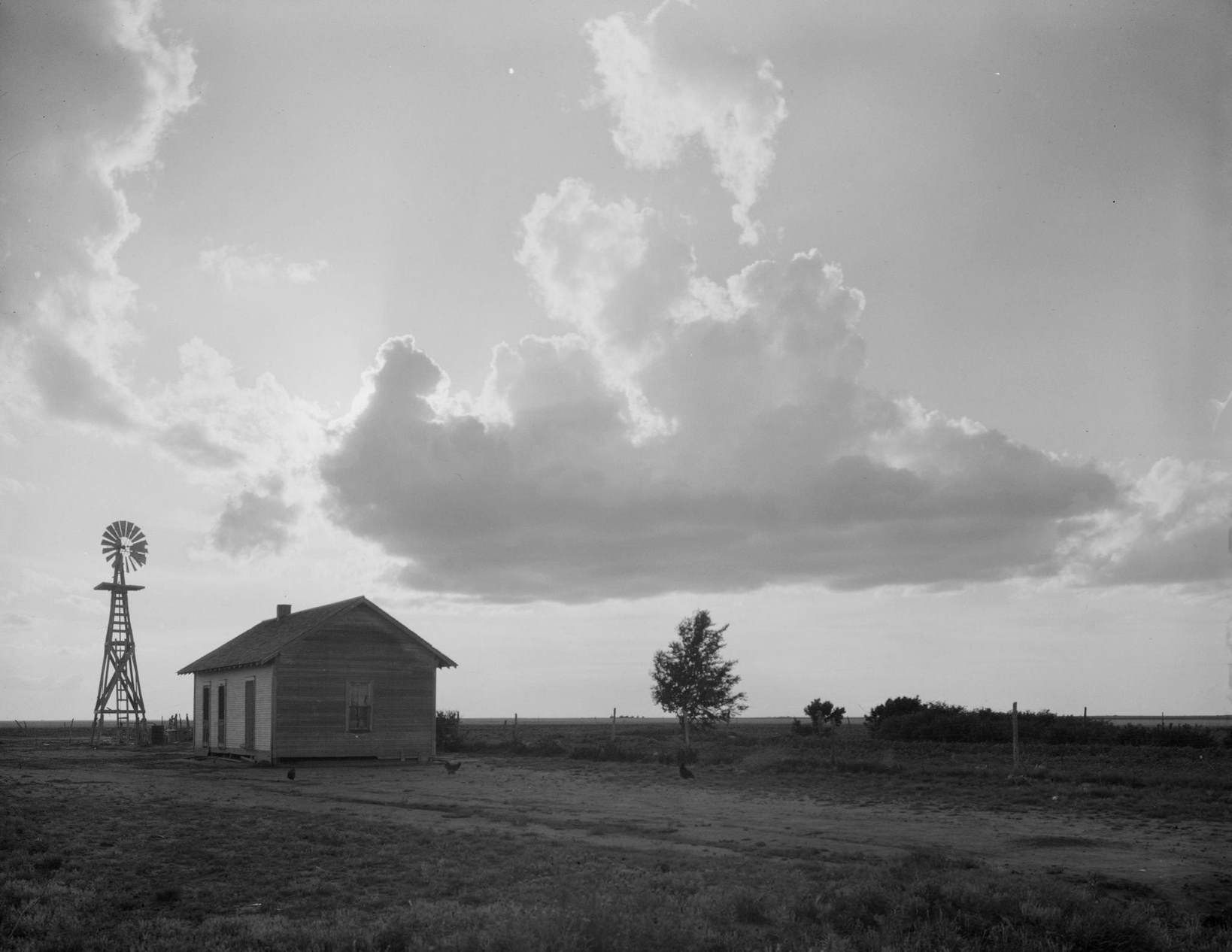 #16 West Texas “Family Farm, 1934