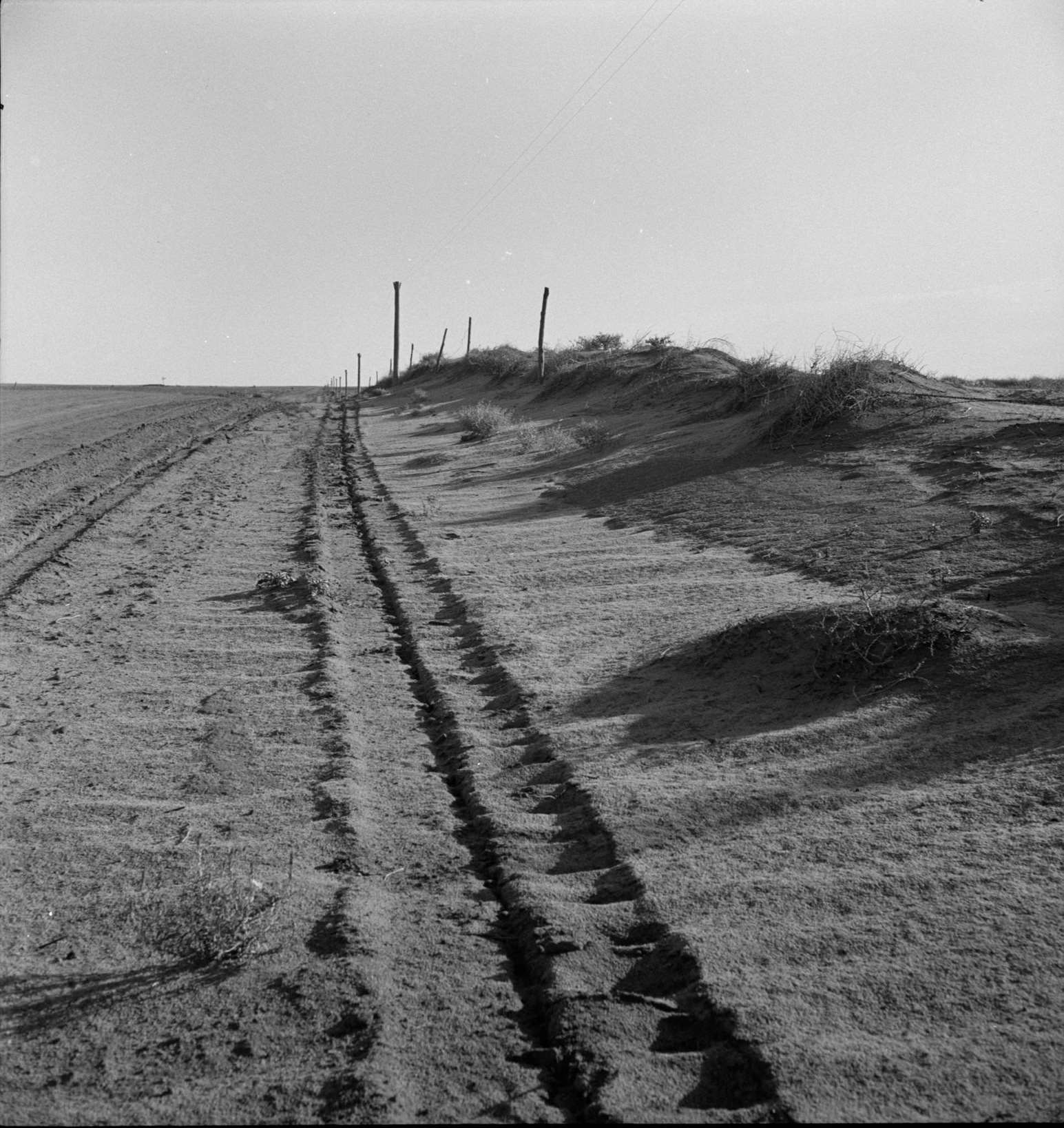 #27 Sand drift along fence. Dust Bowl, north of Dalhart, Texas, 1930s