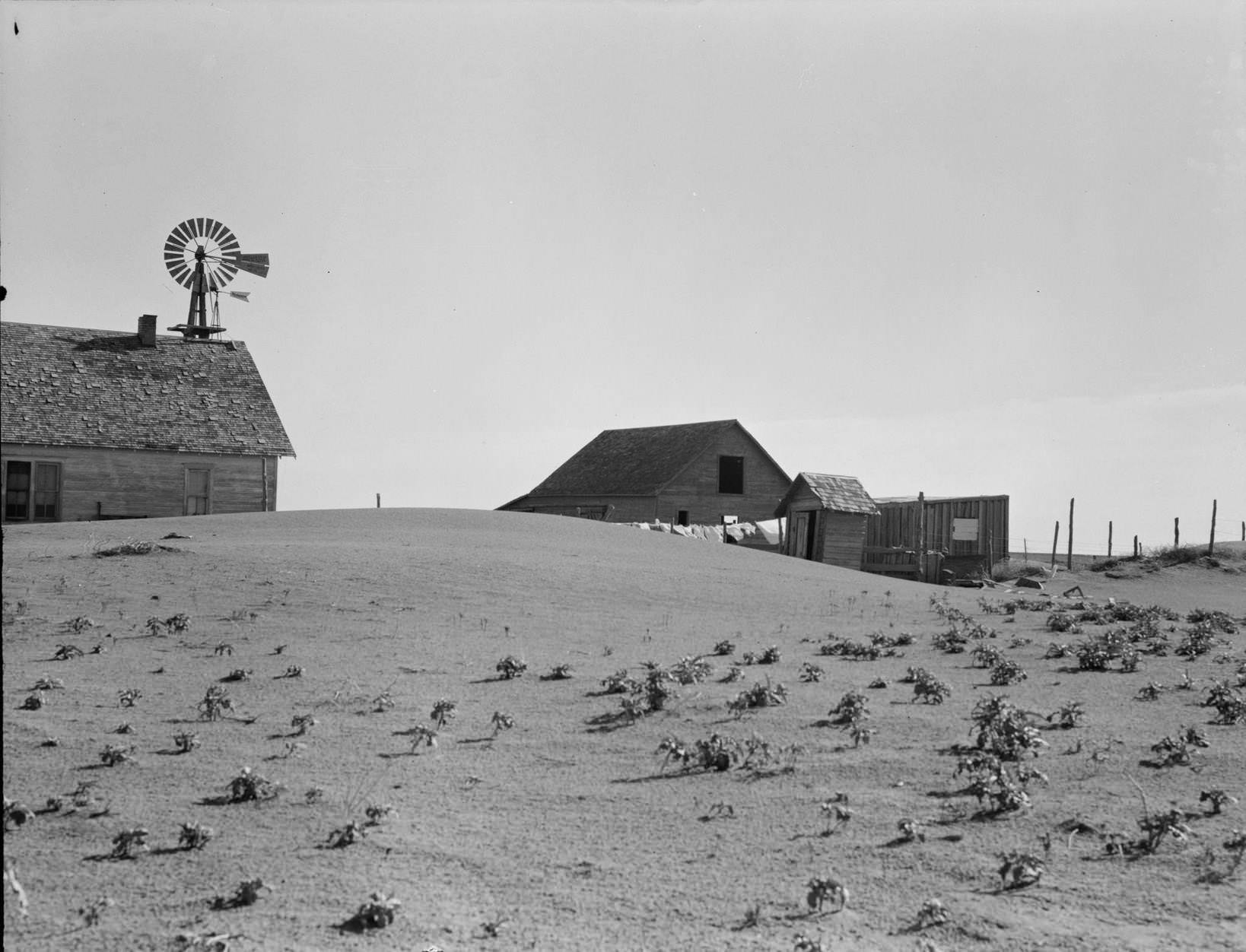 #29 Dust Bowl farm. Coldwater District, near Dalhart, Texas. This farm is occupied. Others in this area have been abandoned.