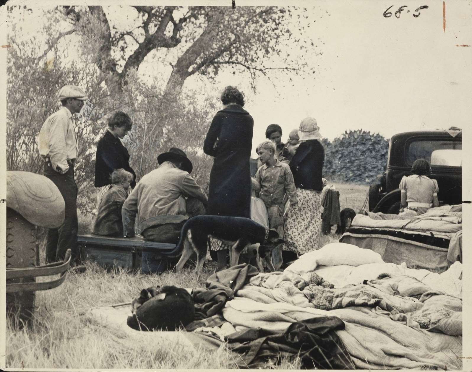 #47 Oklahoma Refugees from the Dust Bowl, Looking for Work on the Cotton Fields, Now Encamped Near Bakersfield, California, 1930s