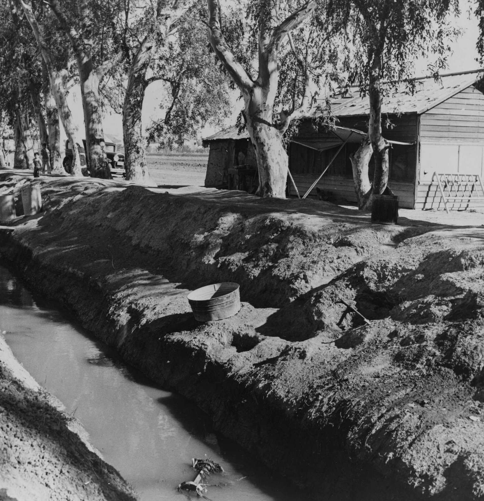 #78 Home of Dust Bowl Refugee, Imperial County, California, 1930s