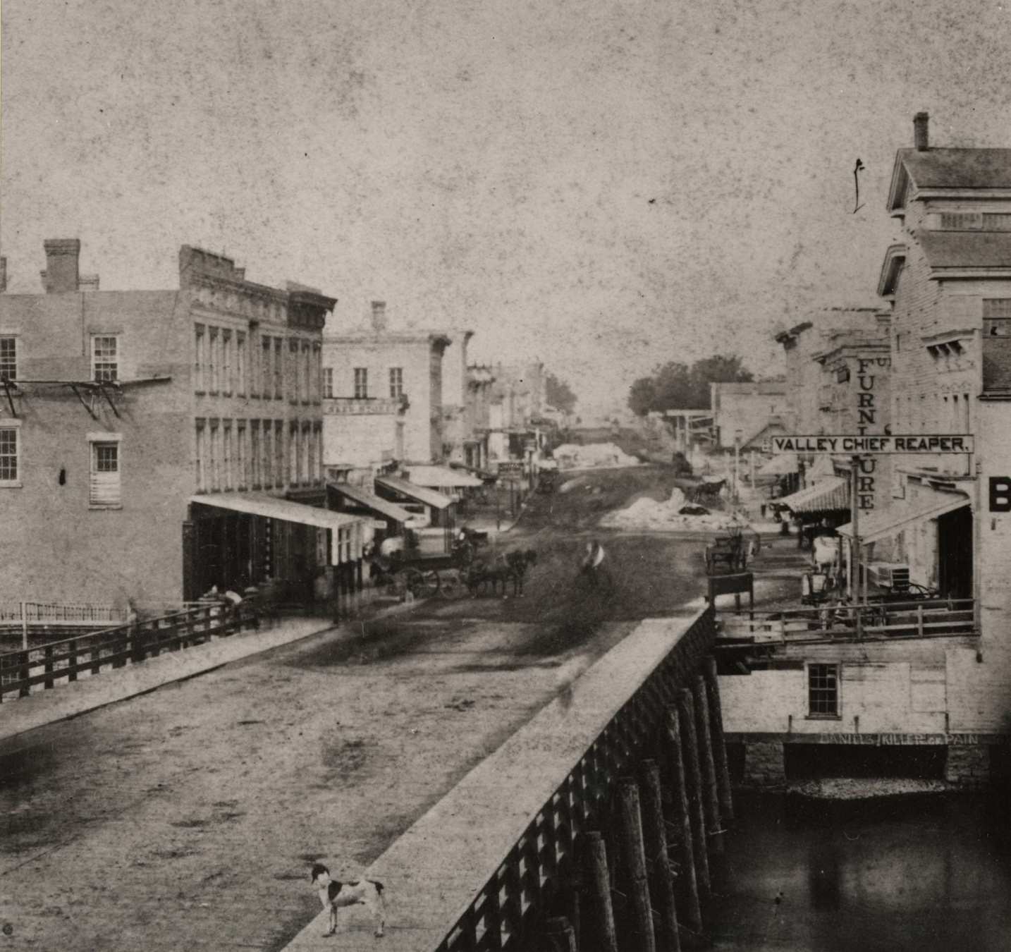 #31 Milwaukee Street looking west with small dog in foreground, Janesville, Wisconsin, 1865.