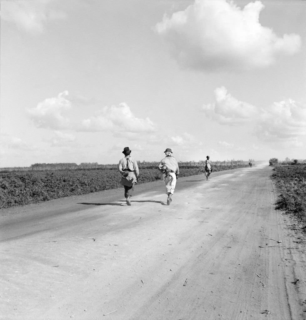 #24 Rear View of Pea Pickers on Dirt Road, Belle Glade, Florida, 1939