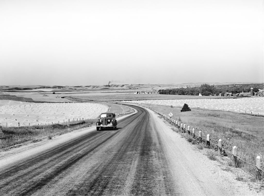 #179 Highway and wheat fields near Minot, North Dakota, August 1941