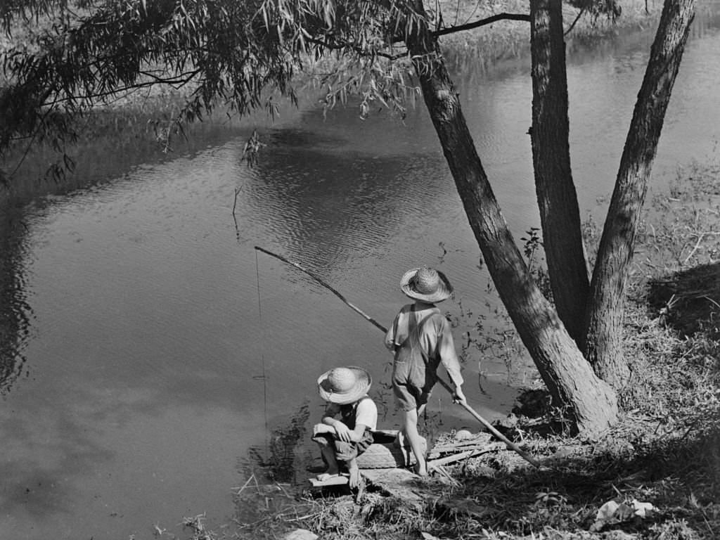 #207 Two Cajun Boys Fishing in Bayou, Schriever, Terrabonne Parish, Louisiana, June 1940