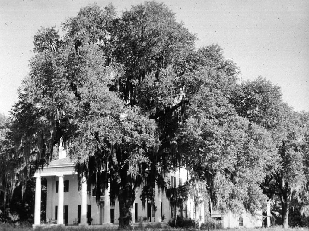 #225 A mansion in Natchez, Mississippi, 1940