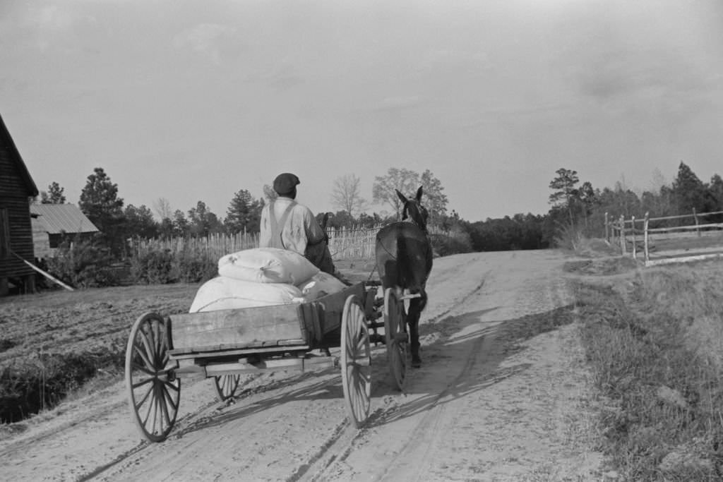 #33 Man Bringing Home Meal from Cooperative Grist Mill on Horse-Drawn Cart, Gees Bend, Alabama, 1939