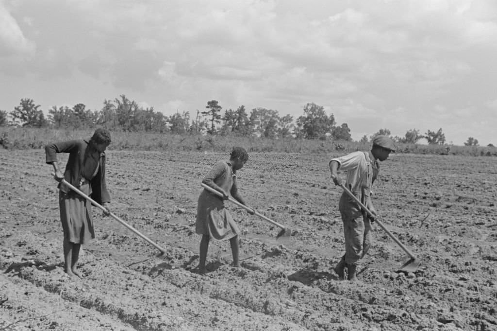 #44 Three Children Hoeing Field, Flint River Farms, Georgia, 1939